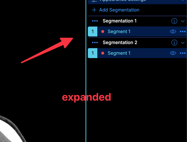 panelSegmentation.tableMode screenshot 2
